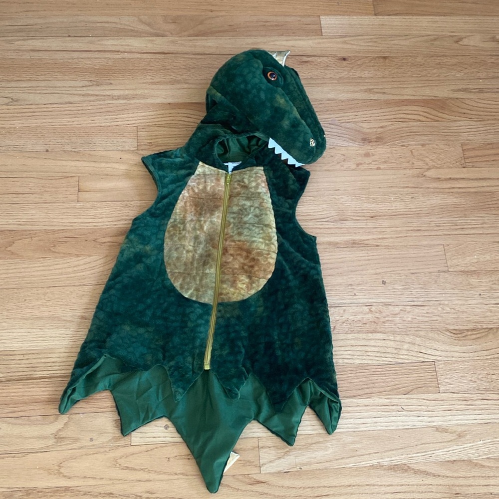 Dragon Halloween costume